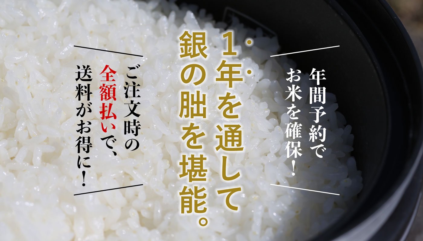 Chun777様専用】美味しいお米、一等米！『安心院のひのひかり』白米27kg-