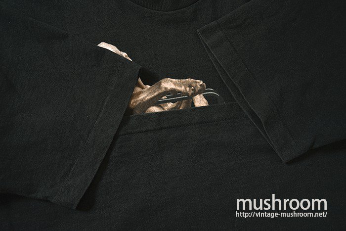 WILLIAM WEGMAN ART T-SHIRT - 古着屋 ｜ mushroom(マッシュルーム