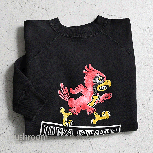 COLOR FLOCK PRINT SWEAT SHIRTALMOST DEADSTOCK/M