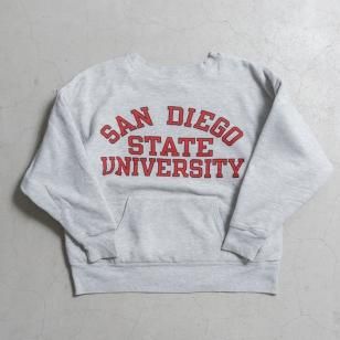 CHAMPION W/F COLLEGE REVERSE WEAVEGOOD CONDITION/L