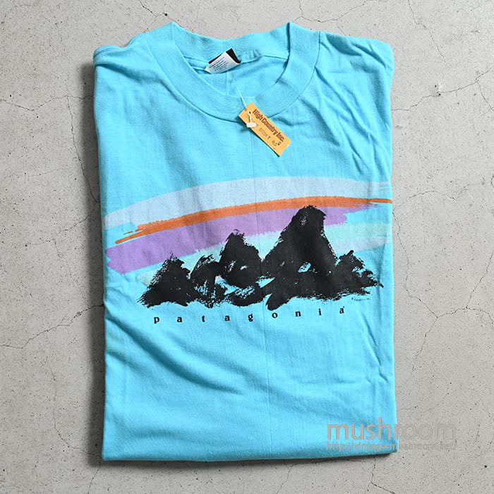PATAGONIA ART T-SHIRT（90'S/DEADSTOCK/X-LARGE） - 古着屋 
