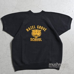 HAZEL GROVE SCHOOL