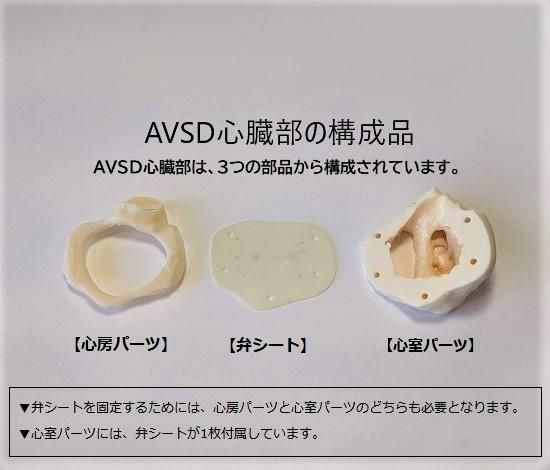 Surgery Training Model】 AVSD心臓部 心房パーツ 購入│株式会社