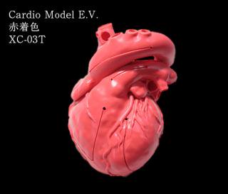 Cardio Model E.V.֡XC-03T