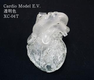 Cardio Model E.V.ƩXC-04T