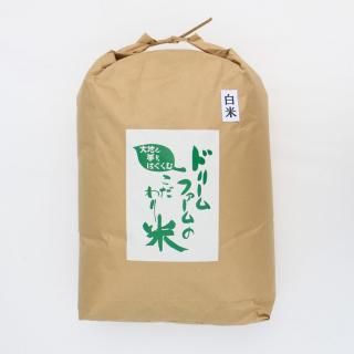 ơٻҥ 20kg7ǯ<img class='new_mark_img2' src='https://img.shop-pro.jp/img/new/icons15.gif' style='border:none;display:inline;margin:0px;padding:0px;width:auto;' />