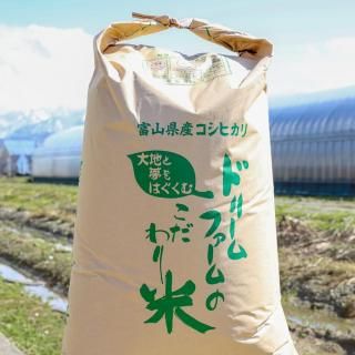 コシヒカリ 30kg 令和6年富山産 富山県産 コシヒカリ 30kg 令和6年新米 玄米