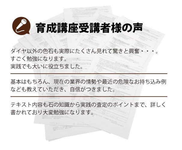 直送送料無料 【改正版】ジュエリー買取り実践ガイド 貴金属・宝石査定