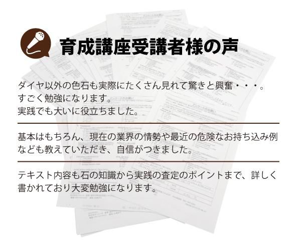 宝石鑑別ハンドブック 宝石鑑別ハンドブック とGIA Gem Identification 本