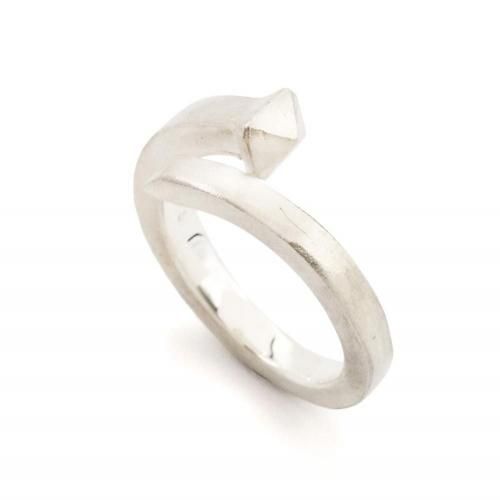 ����ͥ������