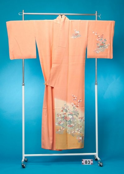 銀花仙トールサイズ　訪問着　正絹　裄72 身丈173 金彩　刺繍　絞り