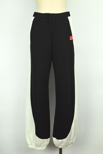 <img class='new_mark_img1' src='https://img.shop-pro.jp/img/new/icons14.gif' style='border:none;display:inline;margin:0px;padding:0px;width:auto;' />Sfide / եǡLined Pants