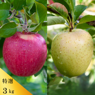 դȤ餺դӡ3kg89ġ[̸]11ܺͽ󳫻ͽǤ