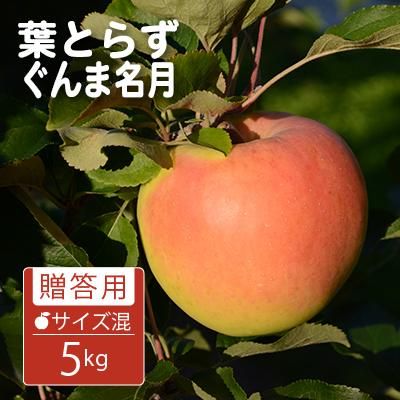 ぐんま名月 ぐんま名月