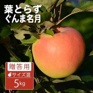 դȤ餺̾£ѡۥ5kg(14-18)⡼ɵ͢13åȤޤǢ11ܰʹߤȯͽ