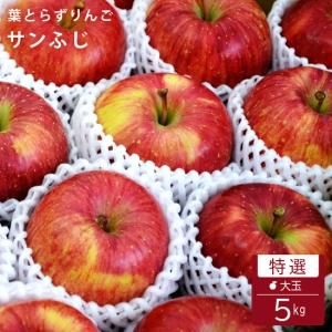 դȤ餺դ5kg(14-16)å׵ 12ܺ缡вͽꢨ̸
