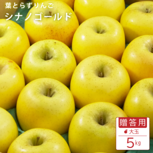 դȤ餺ʥΥɡ£ѡ5kg(14-16/⡼ɵ)
