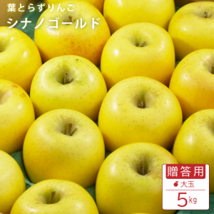 【訳あり】葉とらずりんご シナノゴールド20kg×3箱シナノゴールド