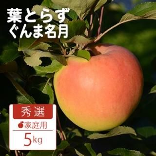 դȤ餺̾ڽ۲5kg(14-18)⡼ɵ͢13åȤޤǢ11ܰʹߤȯͽ