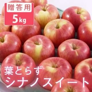 դȤ餺 ʥΥȡ£ѡ5kg(16-20)⡼ɵ 10ܤȯͽ