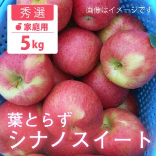 葉とらずりんご シナノスイート【秀選】家庭用5kg(約16-20個)モールド詰 ※10月上旬から発送予定