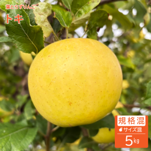 դȤ餺󤴡֥ȥסڵʡ5kg(16-23)