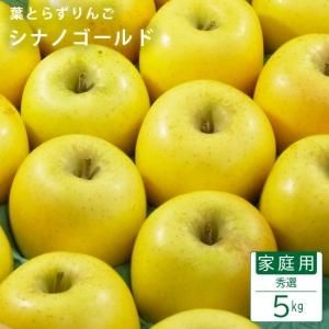 <img class='new_mark_img1' src='https://img.shop-pro.jp/img/new/icons20.gif' style='border:none;display:inline;margin:0px;padding:0px;width:auto;' />դȤ餺ʥΥɡڽ۲5kg(14-20)⡼ɵ