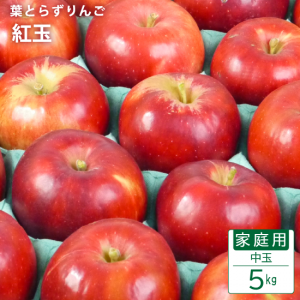 դȤ餺 ȶ̡ڽ۲5kg(18-23)⡼ɵ 9ܤ餴ͽ󳫻ͽǤ