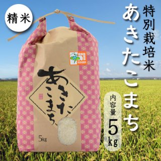 岩渕農園の特別栽培米「あきたこまち」精米5ｋｇ