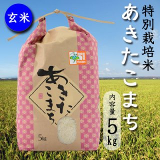 岩渕農園の特別栽培米「あきたこまち」玄米5ｋｇ