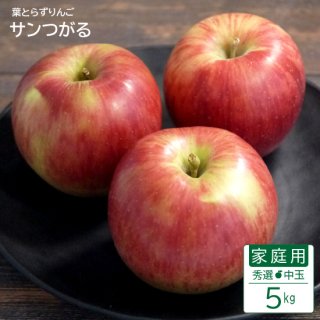 葉とらずりんご「サンつがる」【秀選】家庭用中玉5kg(約16-20個)モールド詰※9月上旬から発送予定です