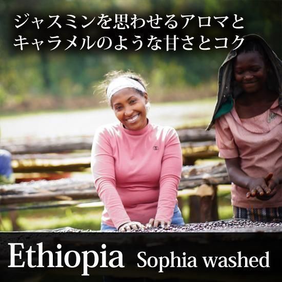 <img class='new_mark_img1' src='https://img.shop-pro.jp/img/new/icons1.gif' style='border:none;display:inline;margin:0px;padding:0px;width:auto;' />ظ٥ԥեå