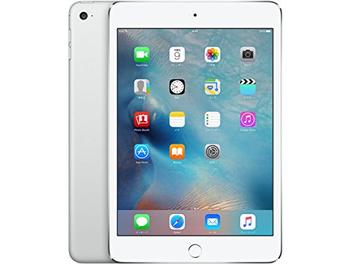 専用　iPad mini 4 Wi-Fiモデル 64GB MK9H2J/A