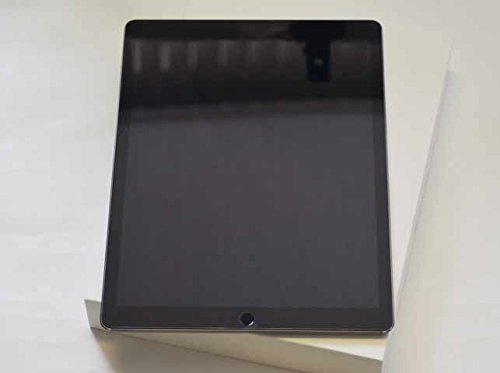 ML0F2J/A ｜iPad Pro Wi-Fiモデル 32GB [スペースグレイ]｜中古品