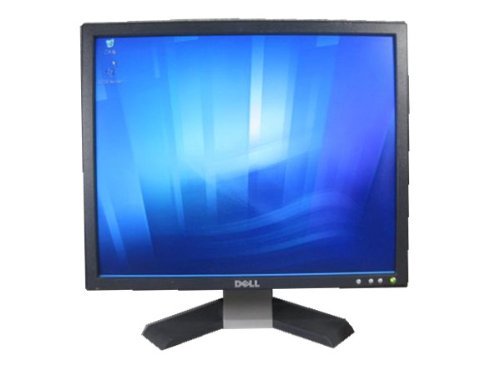 dell monitor e196fpb