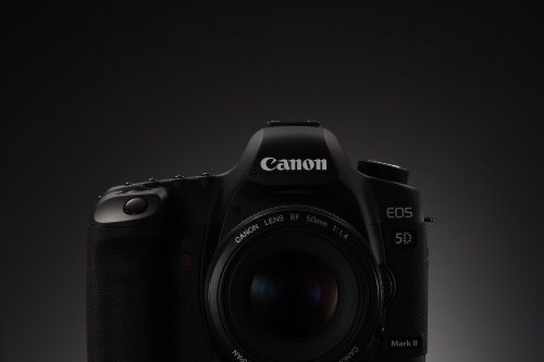EOS5DMK2LK｜Canon デジタル一眼レフカメラ EOS 5D MarkII EF24-105L