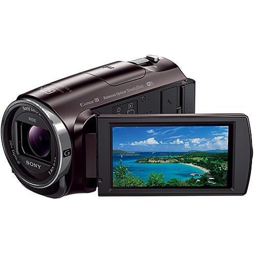 SONY ビデオカメラ HDR-CX670（ケース＆ストラップキット 付き 