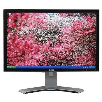 Dell ڥǥץ쥤DELL 2405FPW HAS - 24(K1123M161)ʡ