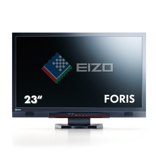 FS2333｜EIZO FORIS 23.0インチ TFTモニタ 1920x1080 DVI-D24ピンx1 D