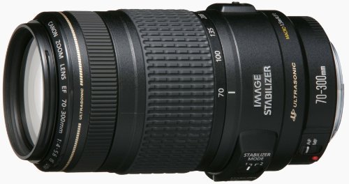 EF70300IS｜Canon 望遠ズームレンズ EF70-300mm F4-5.6 IS USM フル