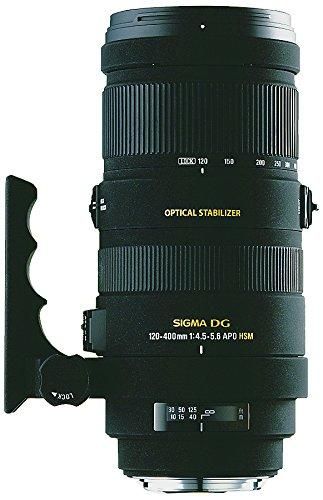 333倍フォーカスSIGMA 120-400mmニコン - レンズ(ズーム)