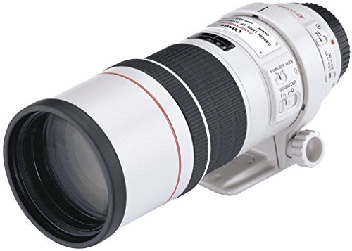 1月22日限定販売✨【超望遠レンズ】Canon EF 75-300mm-