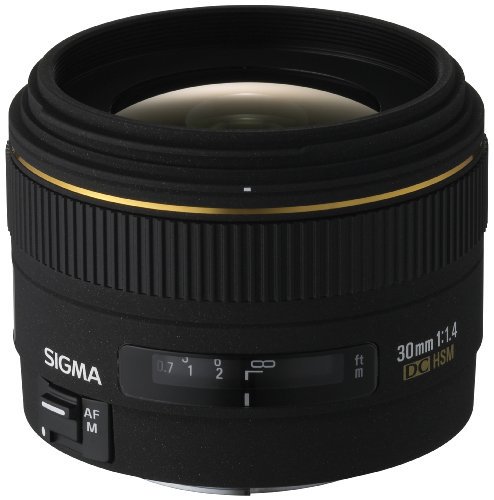 300205｜シグマ 30mm F1.4 EX DC デジタル専用 ソニー用｜中古品｜修理