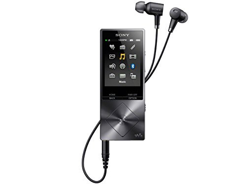 SONY ウォークマン A20シリーズ 64GB ハイレゾ音源対応 ノイズキャンセ