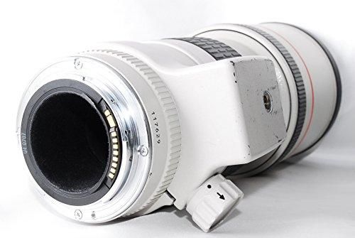 【IS故障】キヤノン EF 300mm F4 L IS USM 疑似的ロクハチ導入』 CANON EF300mm F4L USM のクチコミ掲示板 - 価格.com