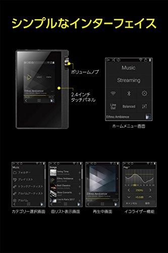 DP-S1(B)｜ONKYO デジタルオーディオプレーヤー rubato ハイレゾ