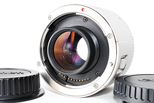 中古】Canon エクステンダー EF1.4X III フルサイズ対応 wgteh8fの+