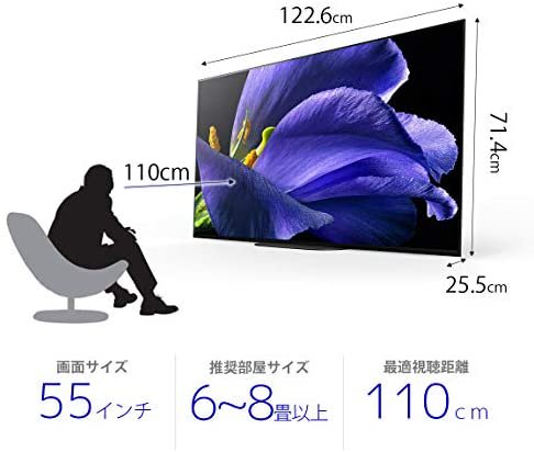 ソニー 55インチ 有機ELテレビ 4Kチューナー搭載 KJ-55A9G - テレビ