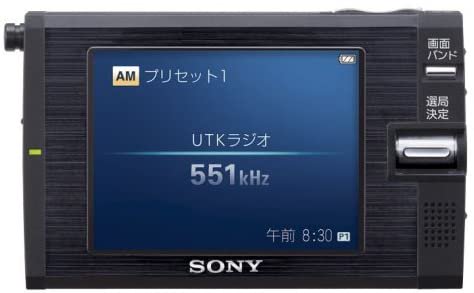 SONY BRAVIA XDV-W600 FMステレオ/AM/ワンセグTV+inforsante.fr