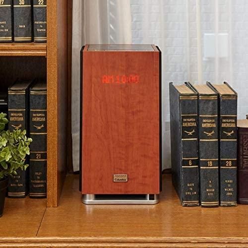 高音質・100曲内蔵 ANABASアナバスオーディオ NCA-100 良品 71PIXbDXVGL._UF350,350_QL80_.jpg